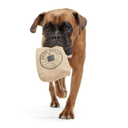 Jitter Pug Coffee Bean Super Chewer Durable 2-in-1 Dog Toy - Image 5