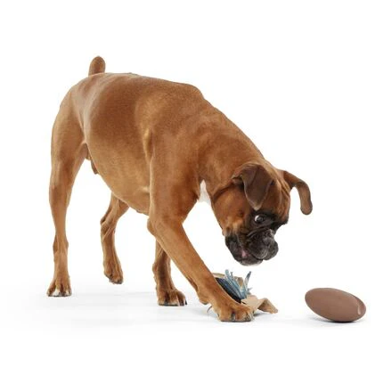 Jitter Pug Coffee Bean Super Chewer Durable 2-in-1 Dog Toy - Image 6