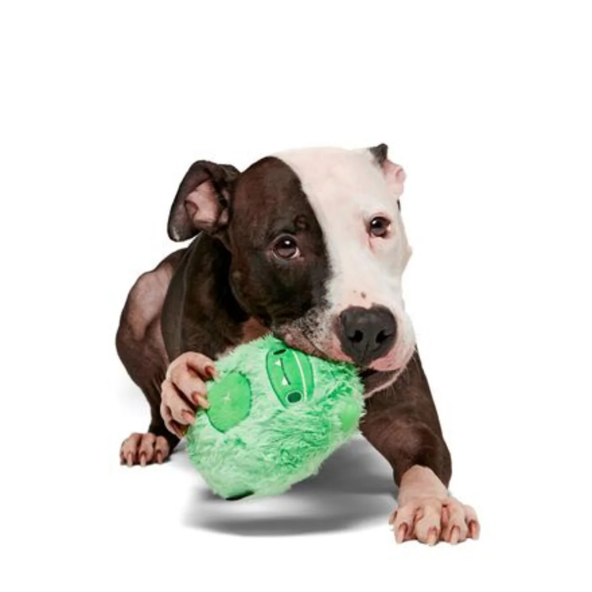 Jolly Green Ice Beast Durable Super Chewer 2-in-1 Rip and Reveal Dog Toy - Image 3