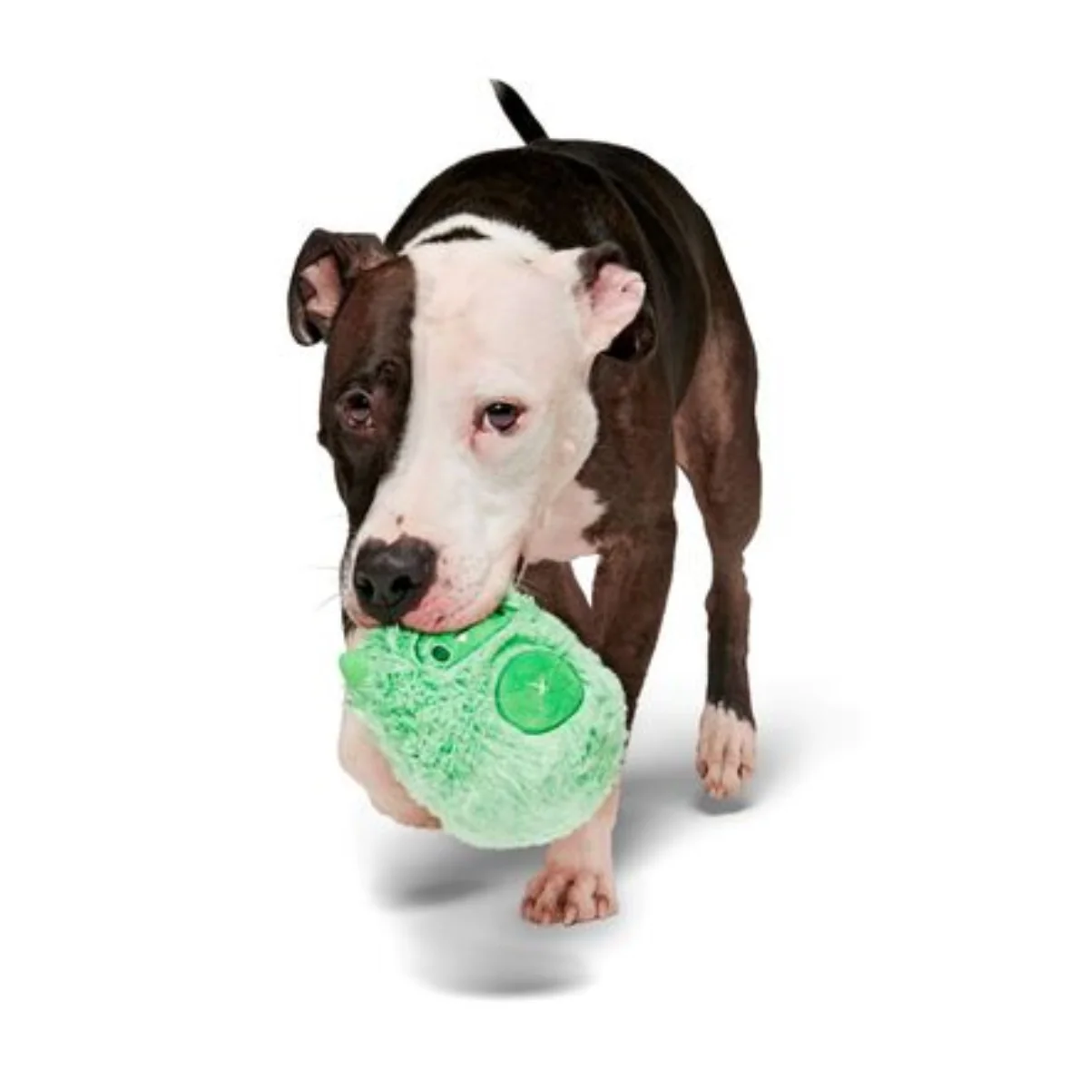 Jolly Green Ice Beast Durable Super Chewer 2-in-1 Rip and Reveal Dog Toy - Image 4