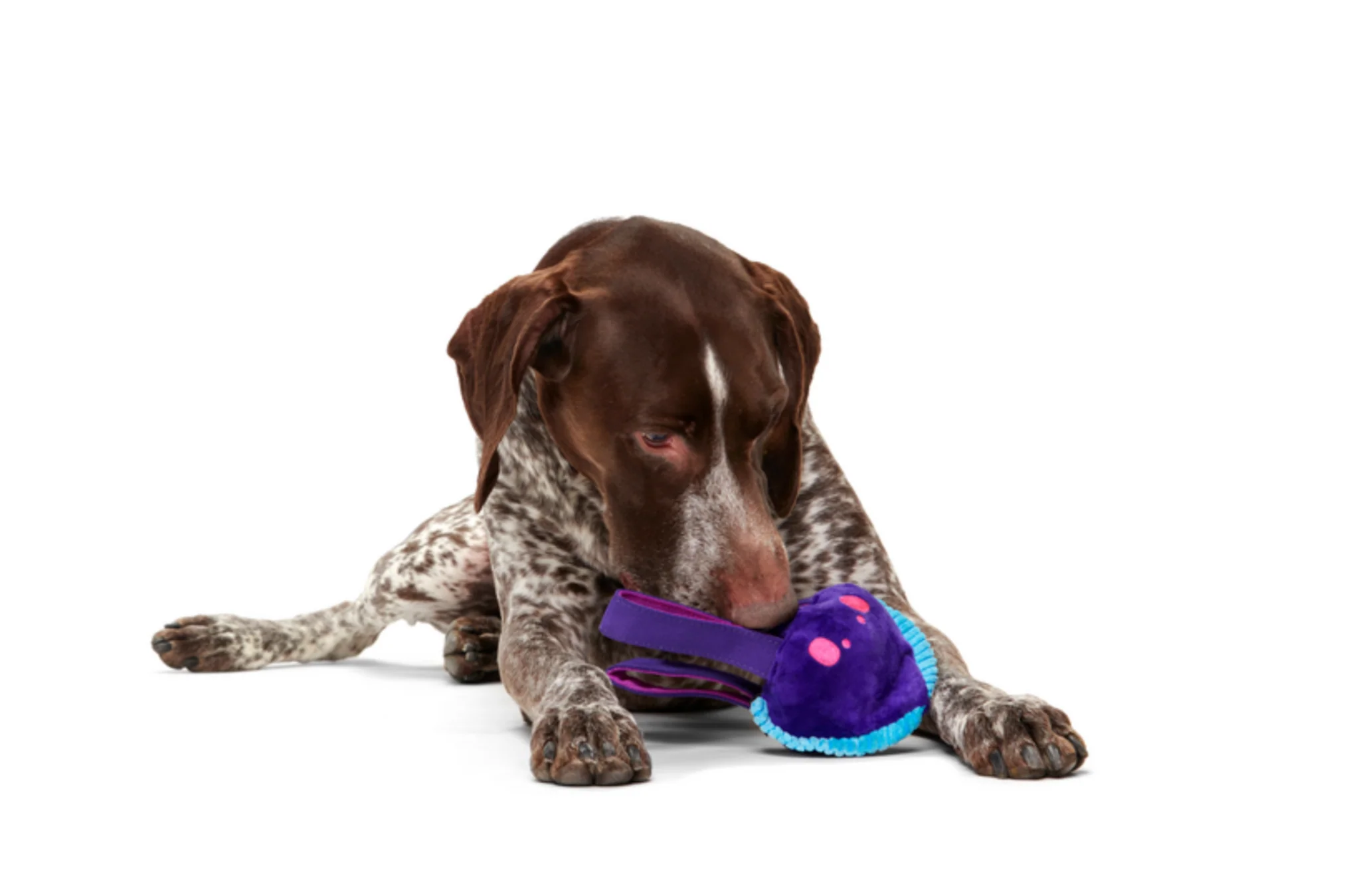 Karen Kraken Durable Super Chewer Tug Dog Toy - Image 4