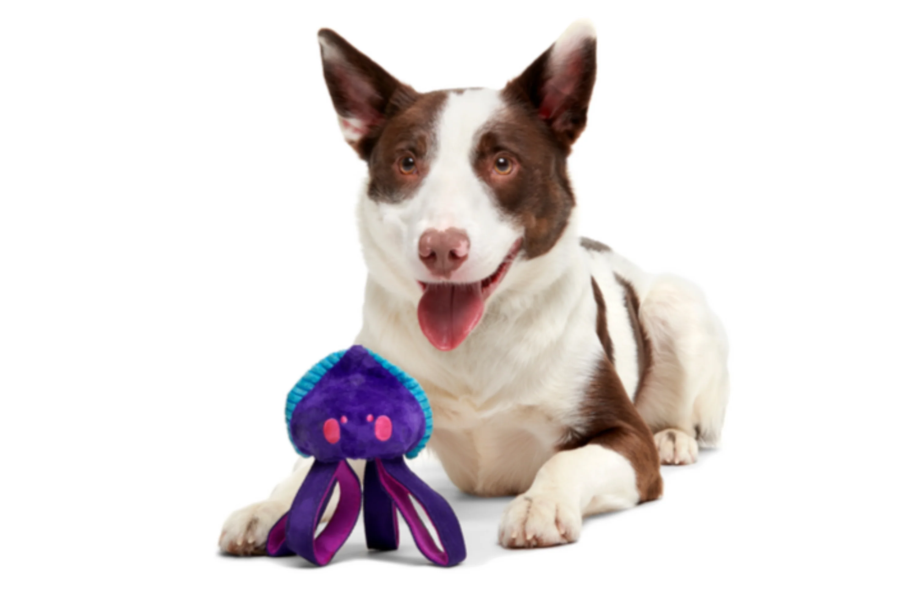 Karen Kraken Durable Super Chewer Tug Dog Toy - Image 5