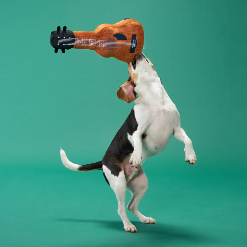 Kumbarkya Guitar Plush Extra-Large Dog Toy - Image 4