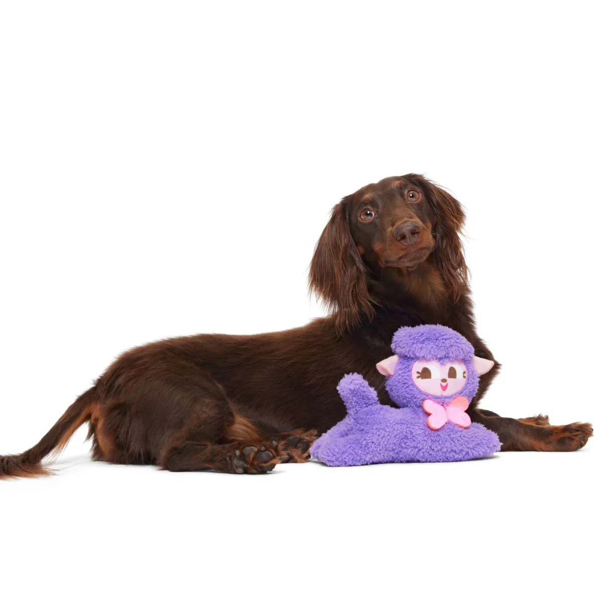 Lil' Bo Squeak Plush Dog Toy - Image 3