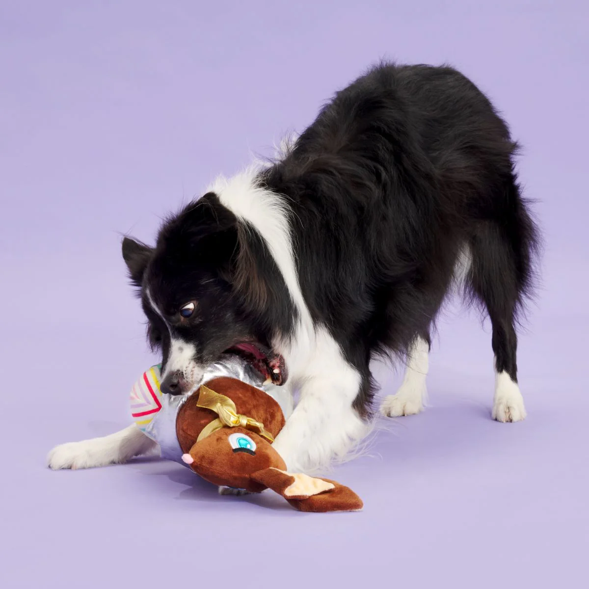 Lil Bunny Chew Chew Plush Extra-Large Dog Toy - Image 3