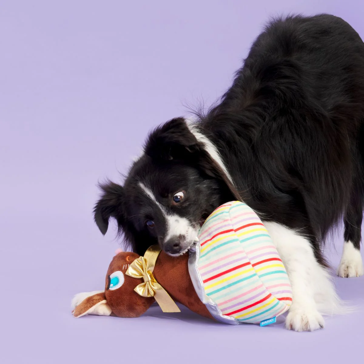 Lil Bunny Chew Chew Plush Extra-Large Dog Toy - Image 4