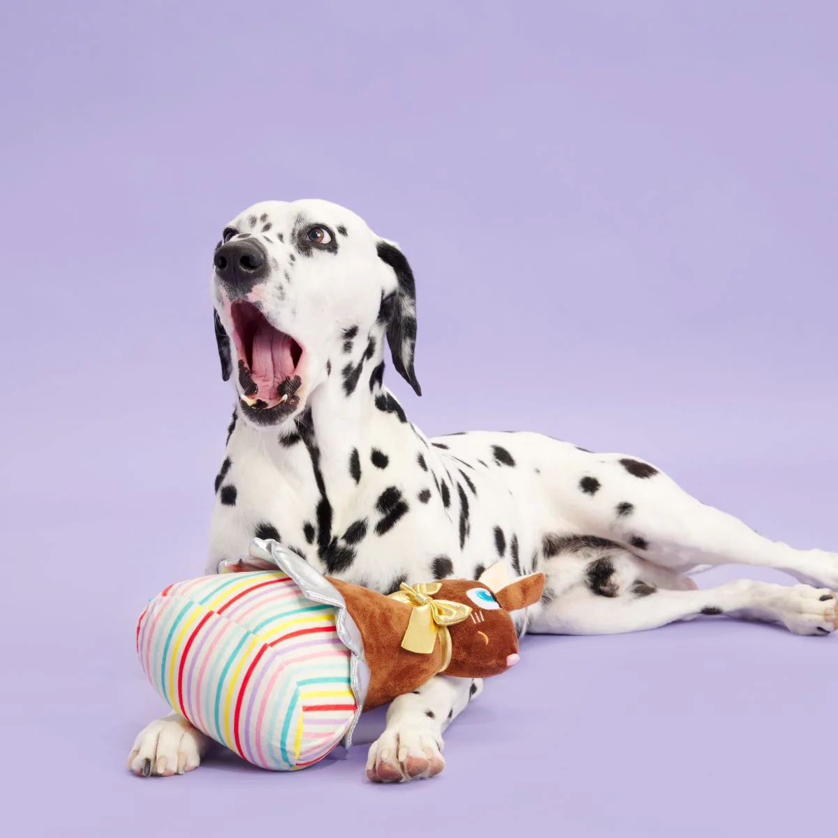 Lil Bunny Chew Chew Plush Extra-Large Dog Toy - Image 5