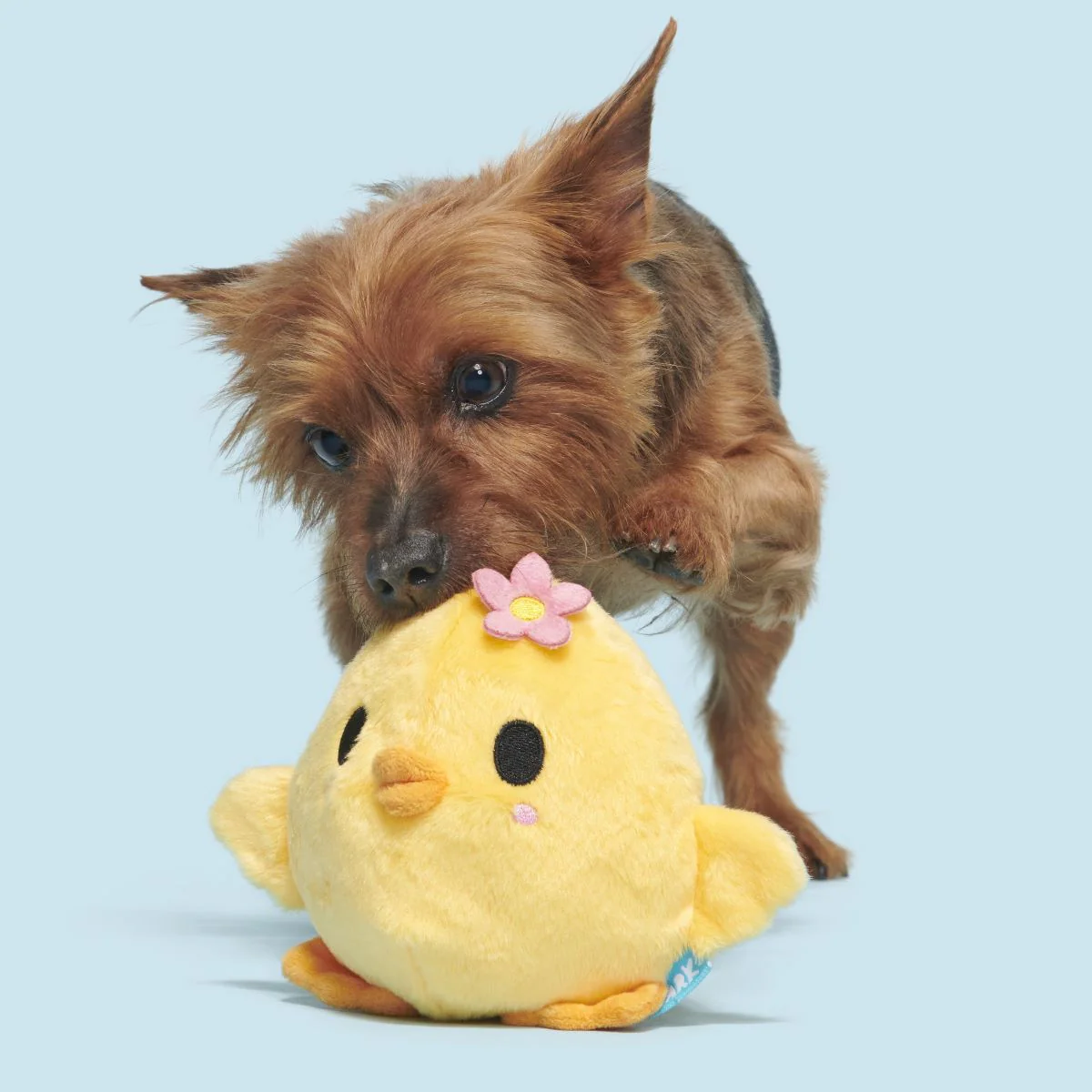 Lil' Hennifer Plush Fetch Dog Toy - Image 5