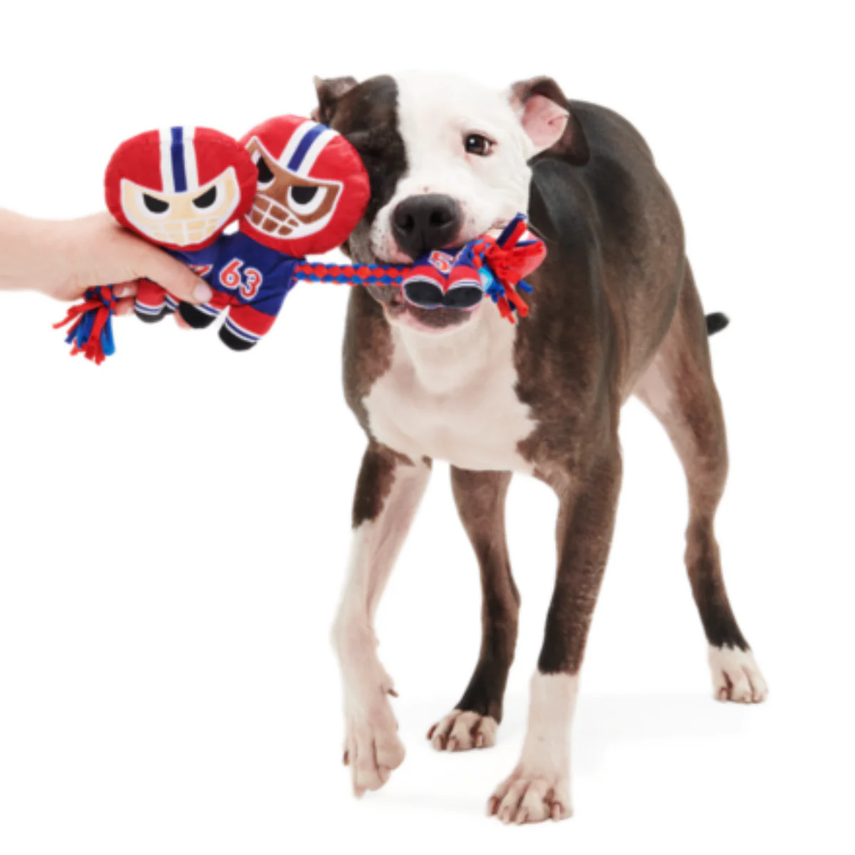 Linebarkers Plush Tug Dog Toy - Image 4