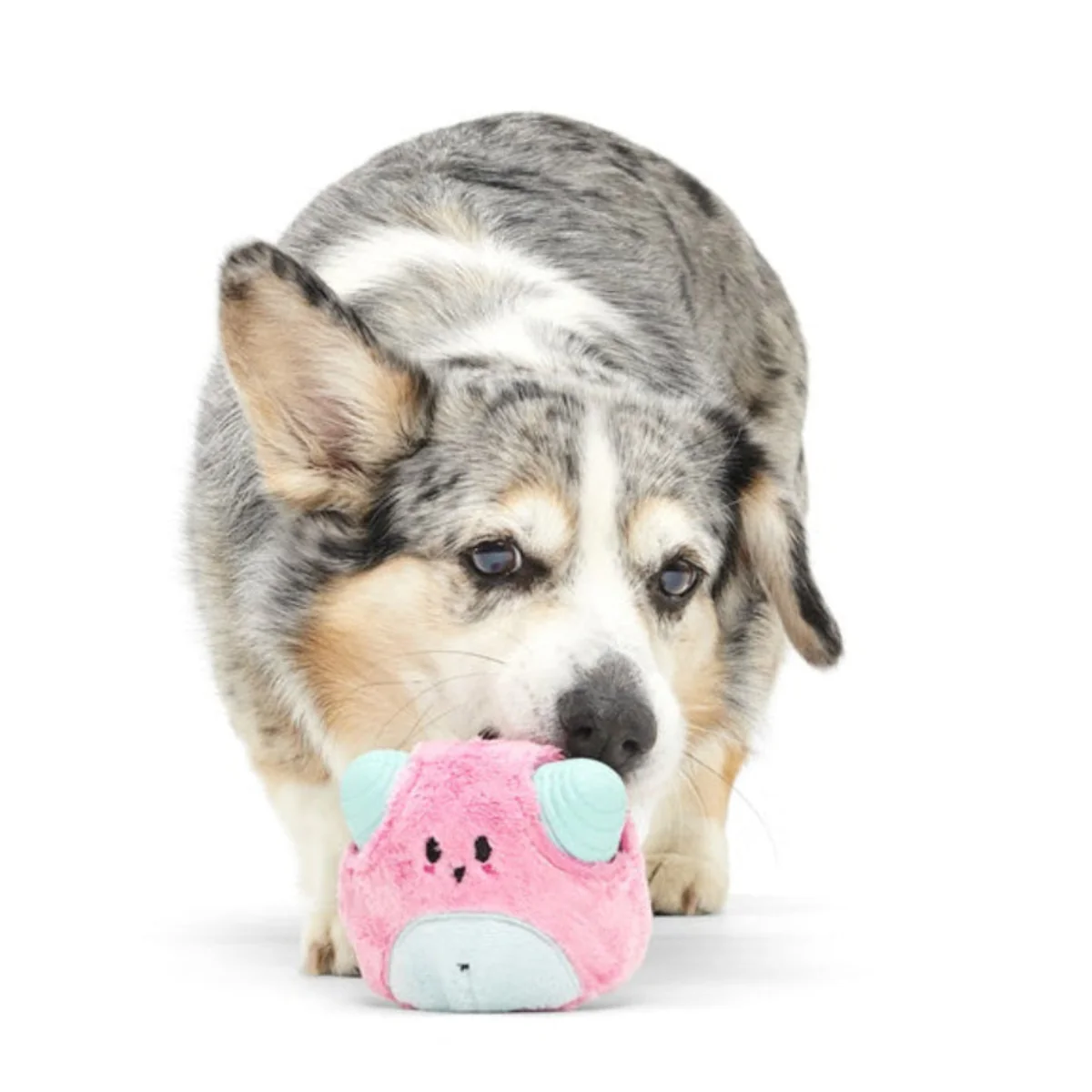 Lover Beast Durable Super Chewer 2-in-1 Rip and Reveal Dog Toy - Image 3