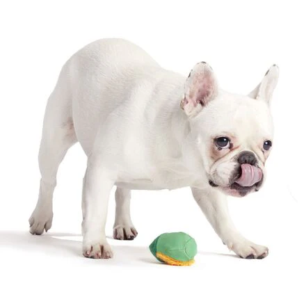 Lucky Larry Leprechaun Super Chewer Durable 2-in-1 Dog Toy - Image 5