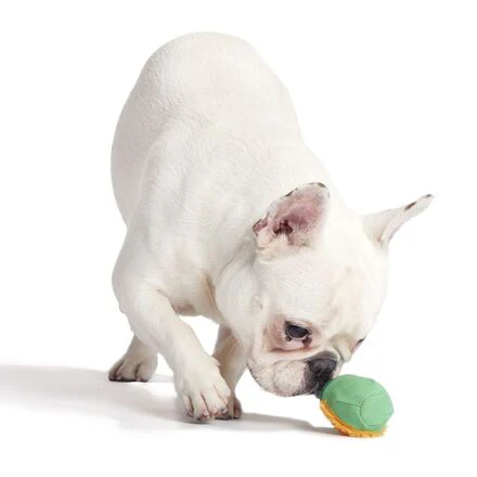 Lucky Larry Leprechaun Super Chewer Durable 2-in-1 Dog Toy - Image 6