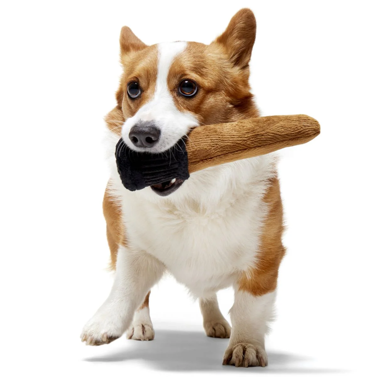 Spellbinding Wand™ Plush Fetch Dog Toy - Image 3