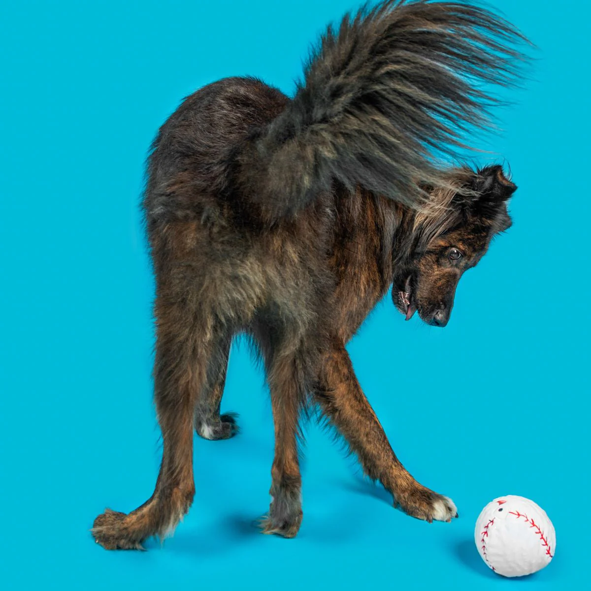 Major Lick Baseball Plush Fetch Dog Toy - Image 3