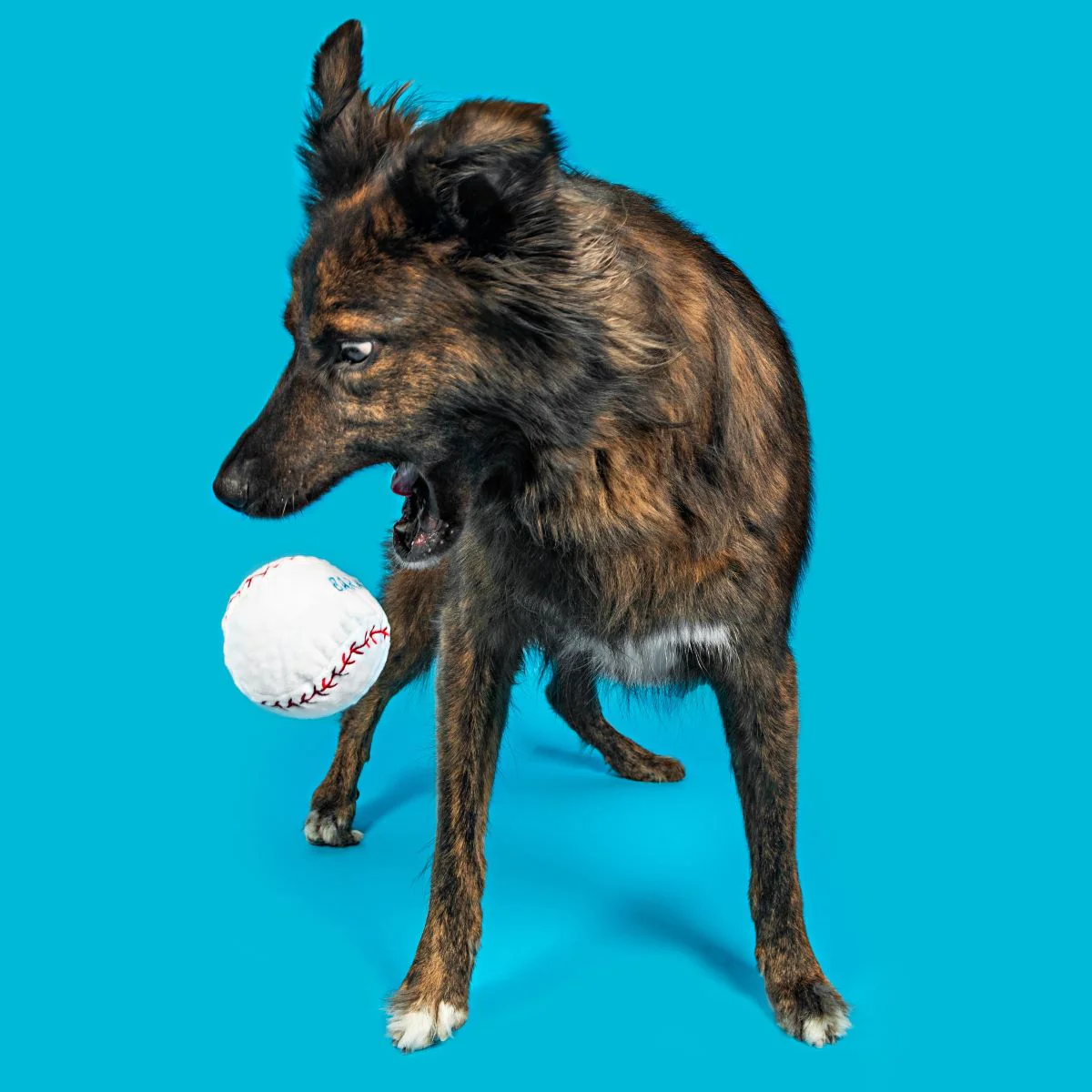 Major Lick Baseball Plush Fetch Dog Toy - Image 4