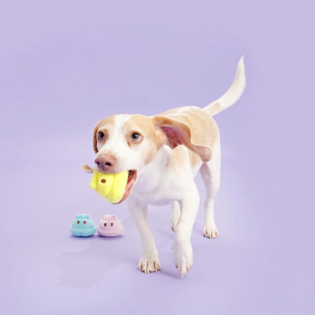 Marshmallow Poops Plush Multi-Part + Fetch Dog Toy - Image 3