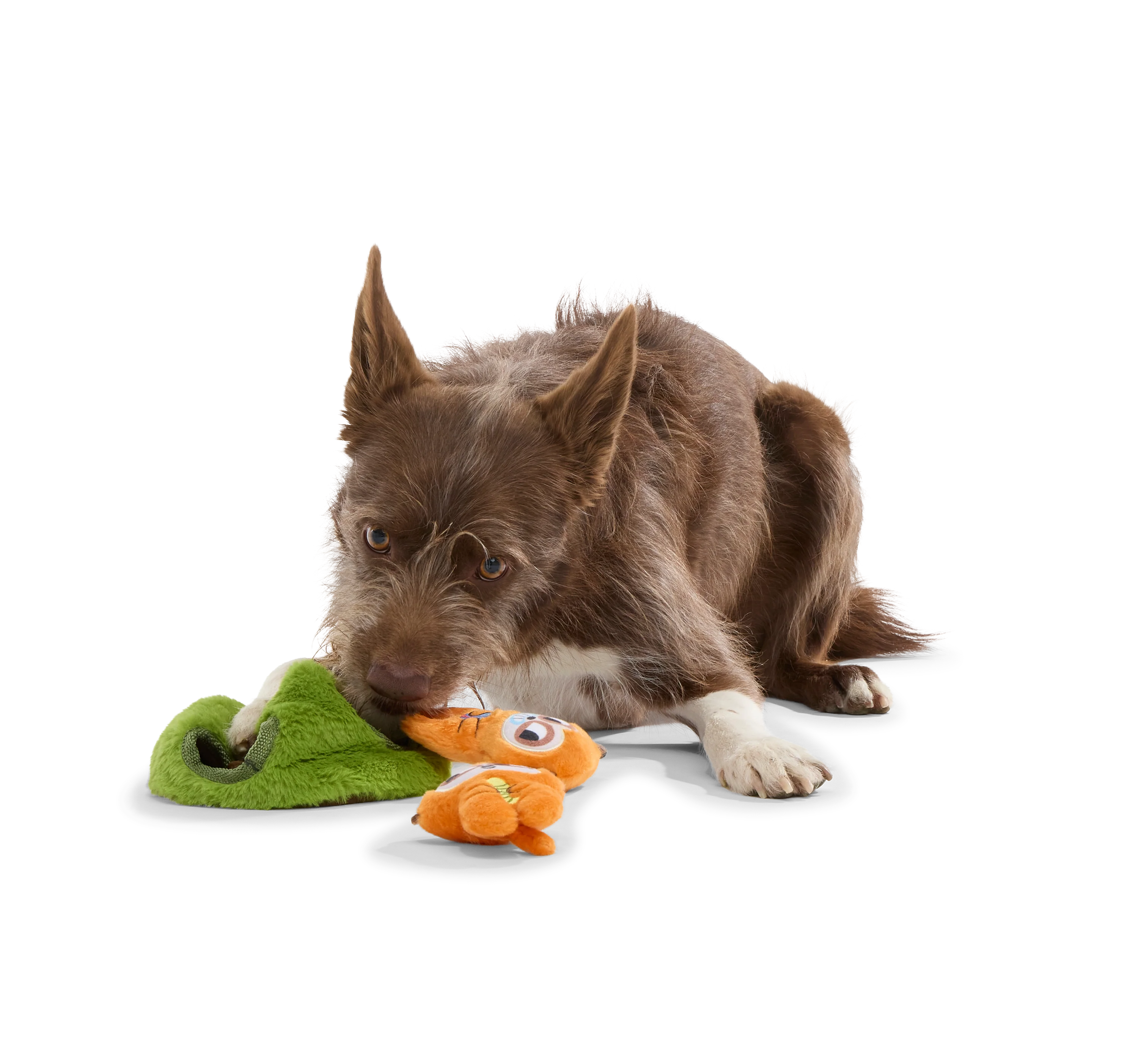 Mchanga & Mwanga Meerkat Plush Enrichment + Multi-Part Dog Toy - Image 3