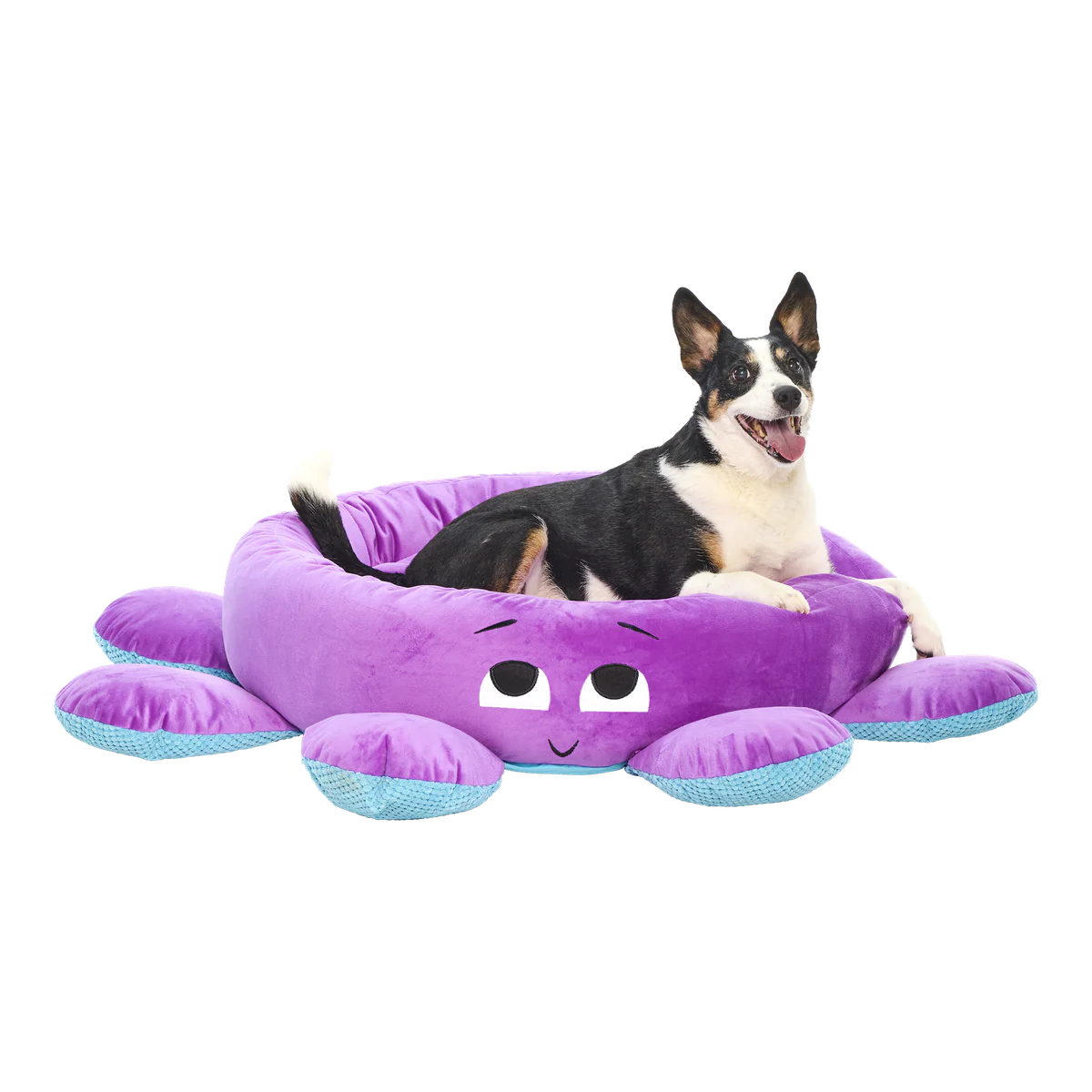 Ollie the Octopus Dog Bed - Image 4