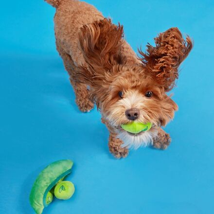 Peas in the Pod Plush Multi-Part + Enrichment + Fetch Dog Toy - Image 3