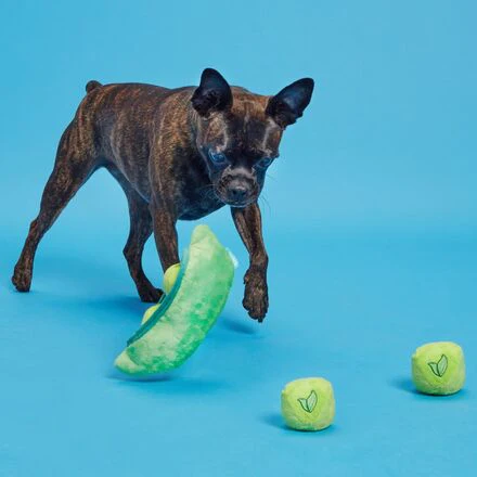 Peas in the Pod Plush Multi-Part + Enrichment + Fetch Dog Toy - Image 4