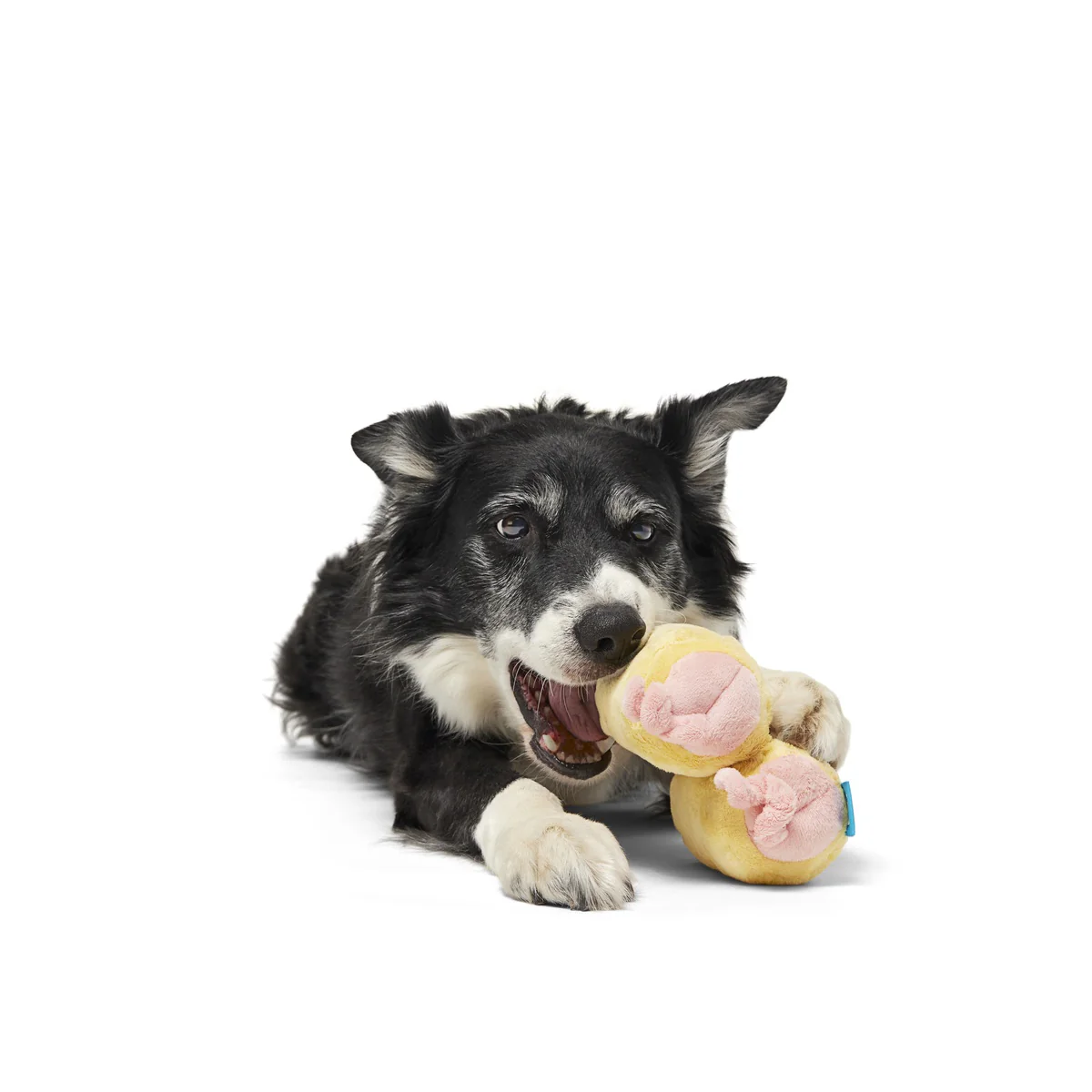 Pigs in a Blanket Plush Tug Dog Toy - Image 3