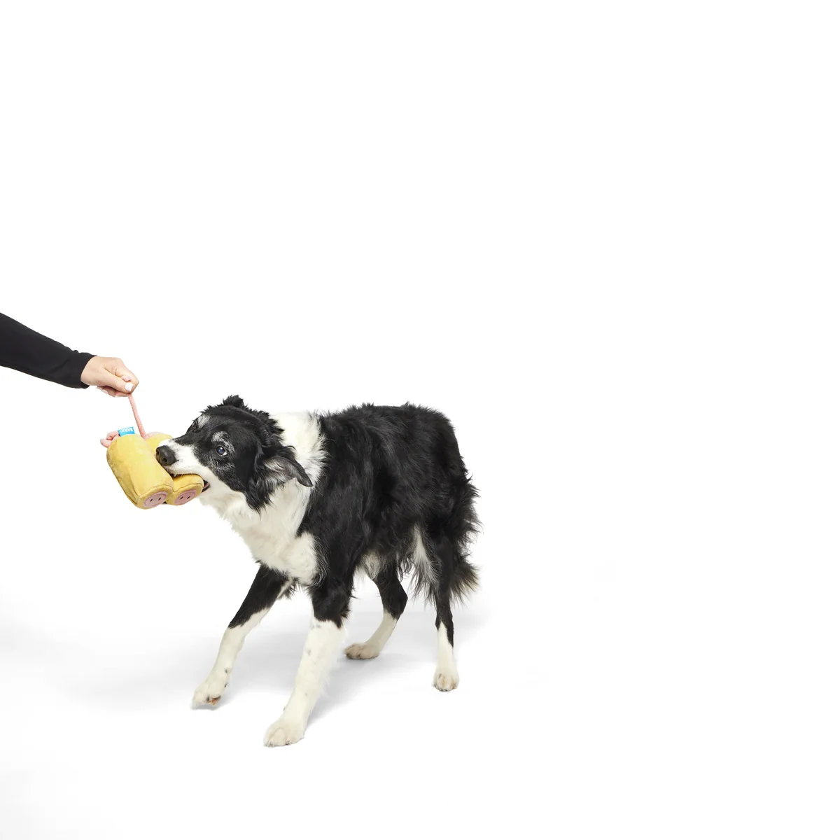 Pigs in a Blanket Plush Tug Dog Toy - Image 5