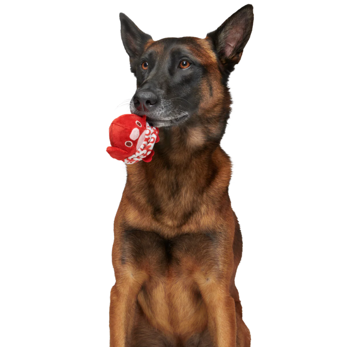 Puppy Love Penguin Durable Super Chewer 2-in-1 Rip and Reveal + Enrichment Dog Toy - Image 3