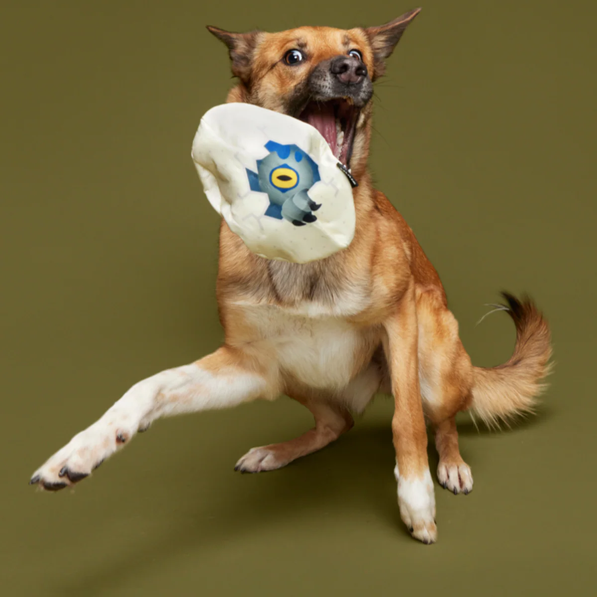 Raptor Hatchling Durable Super Chewer 2-in-1 Rip and Reveal + Fetch Dog Toy - Image 4