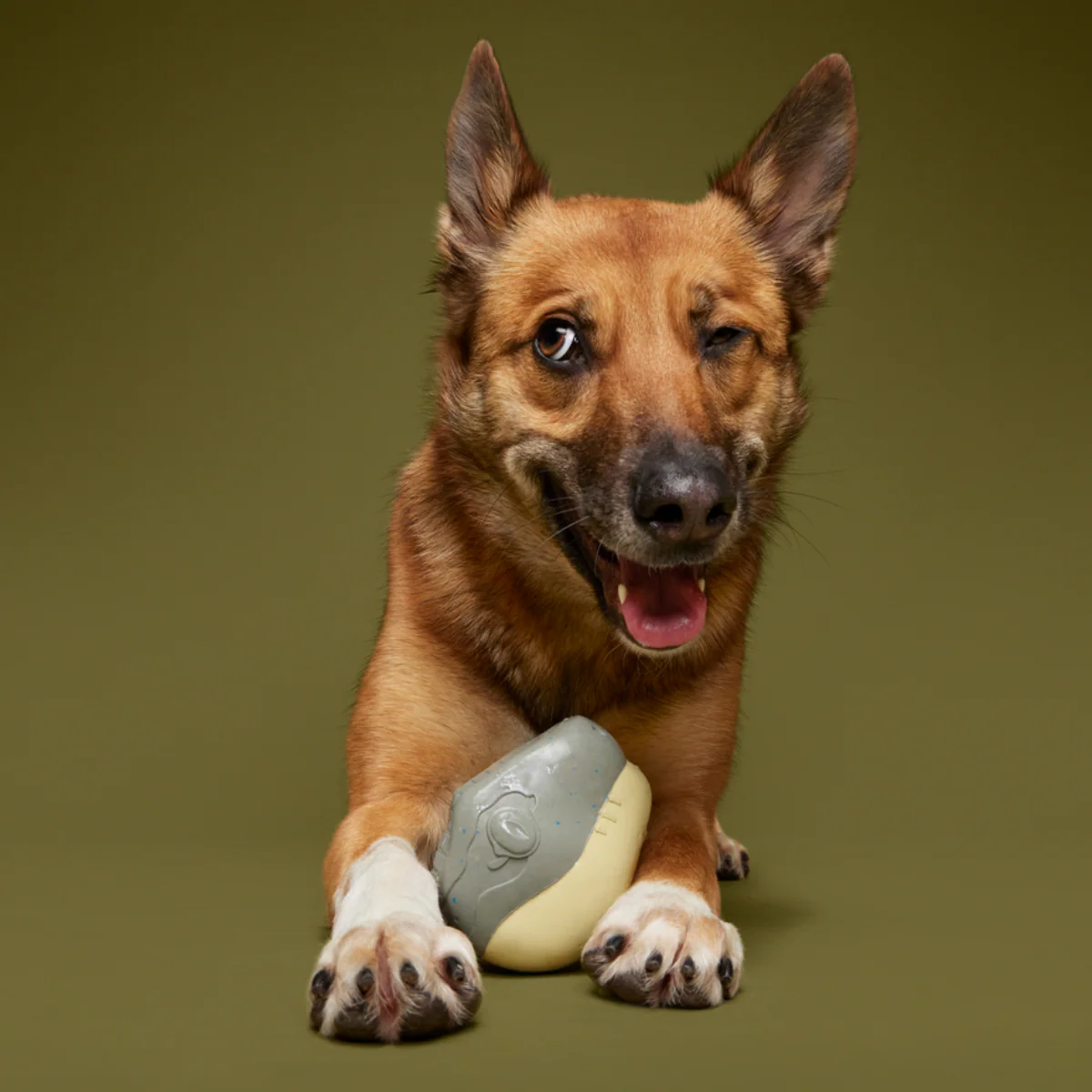 Raptor Hatchling Durable Super Chewer 2-in-1 Rip and Reveal + Fetch Dog Toy - Image 6