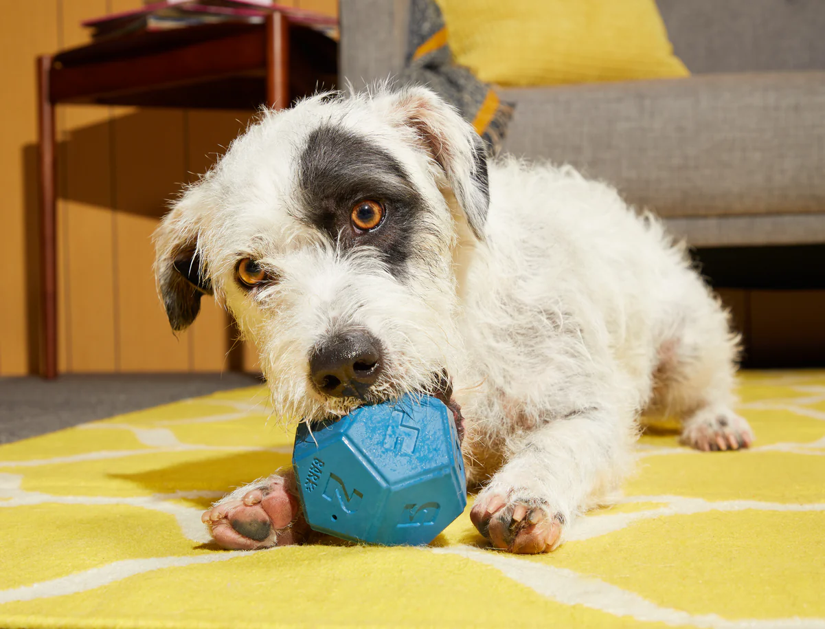 Roll + Play Dice - Image 4