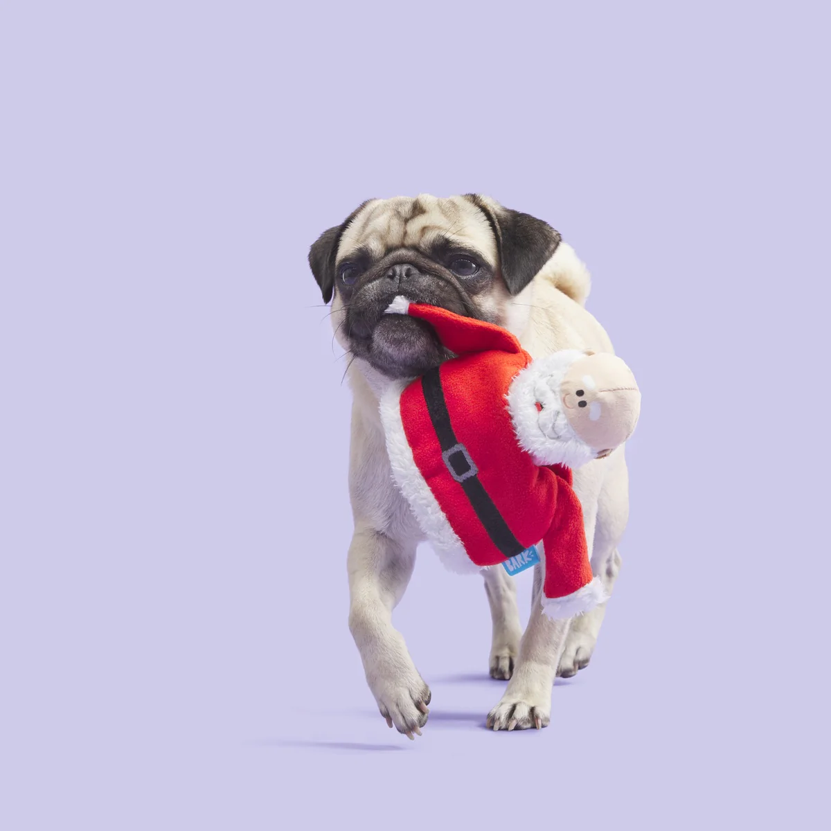 Rudolph® Holiday Gift BarkBox - Image 13