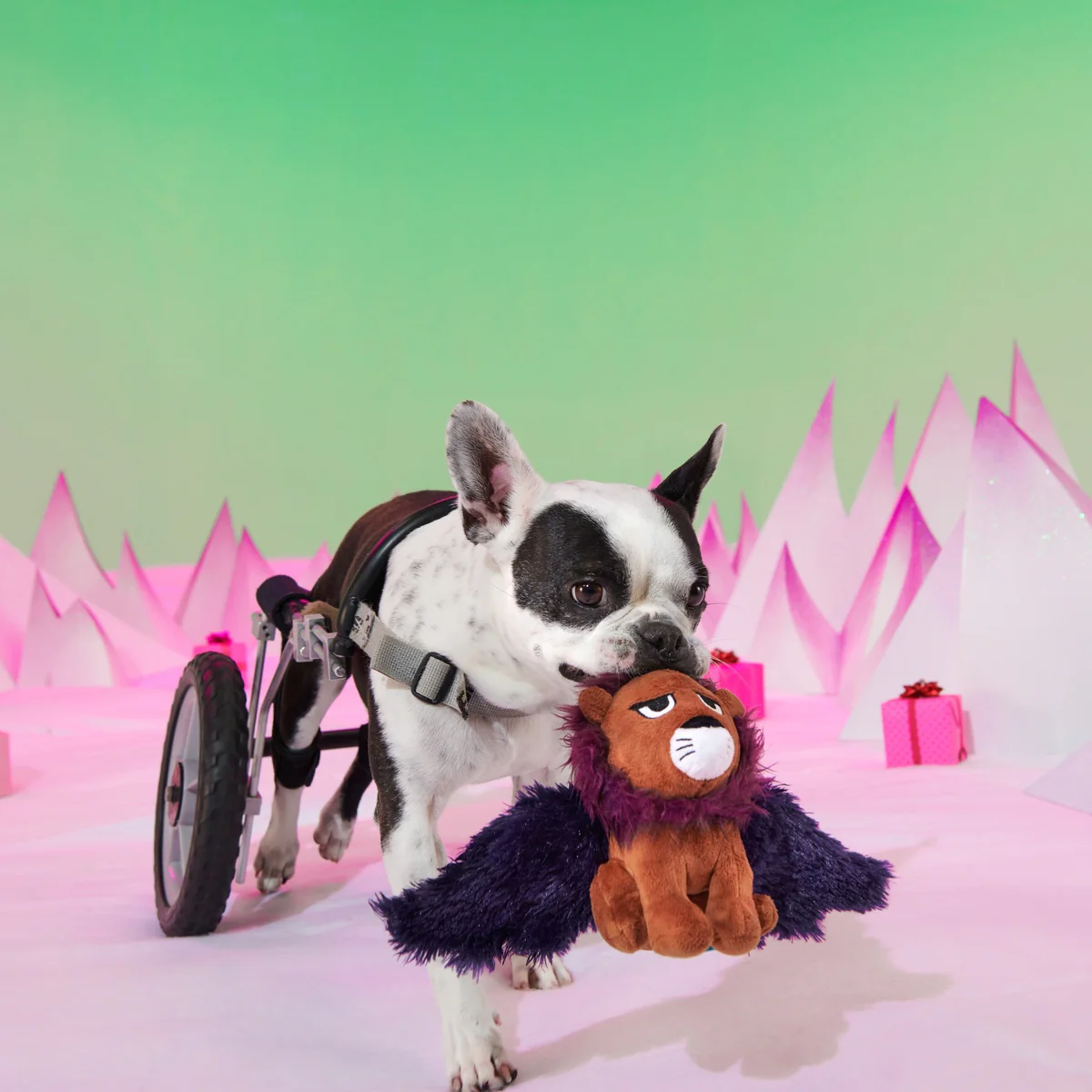 Rudolph® Holiday Gift BarkBox - Image 18