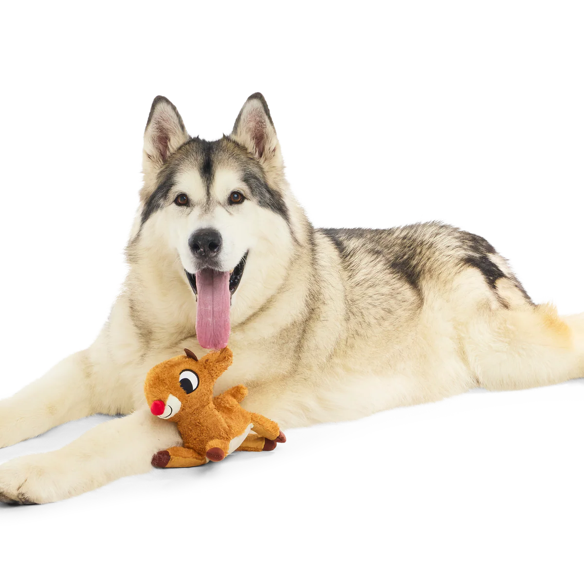 Rudolph® Holiday Gift BarkBox - Image 4