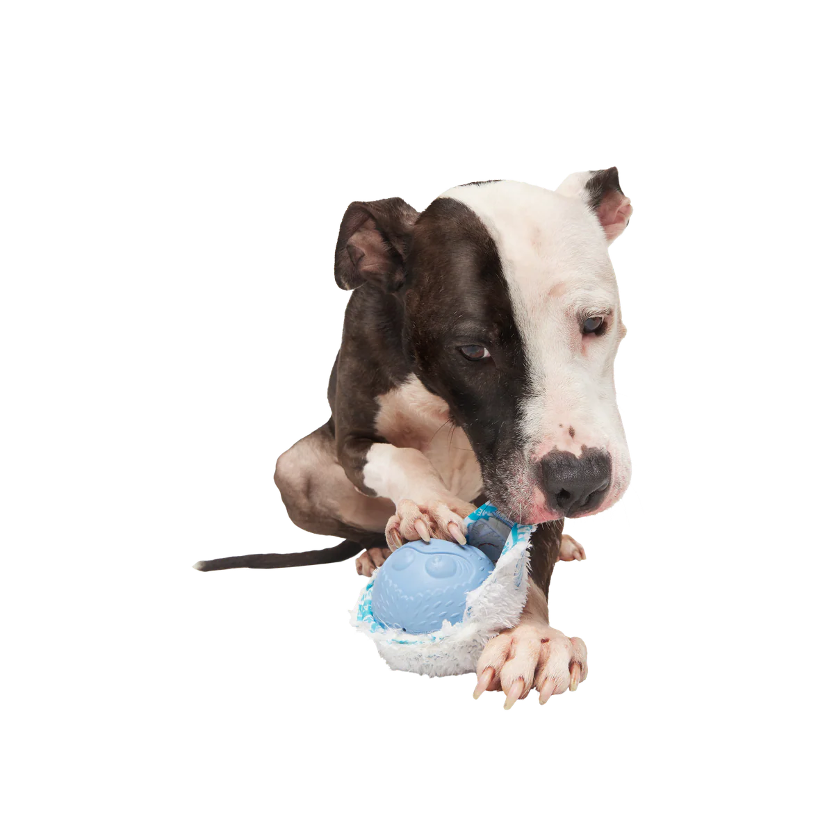 Rudolph® Holiday Super Chewer Gift Box - Image 11