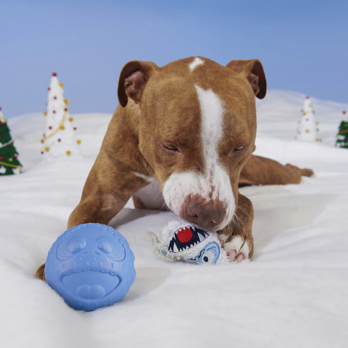 Rudolph® Holiday Super Chewer Gift Box - Image 12