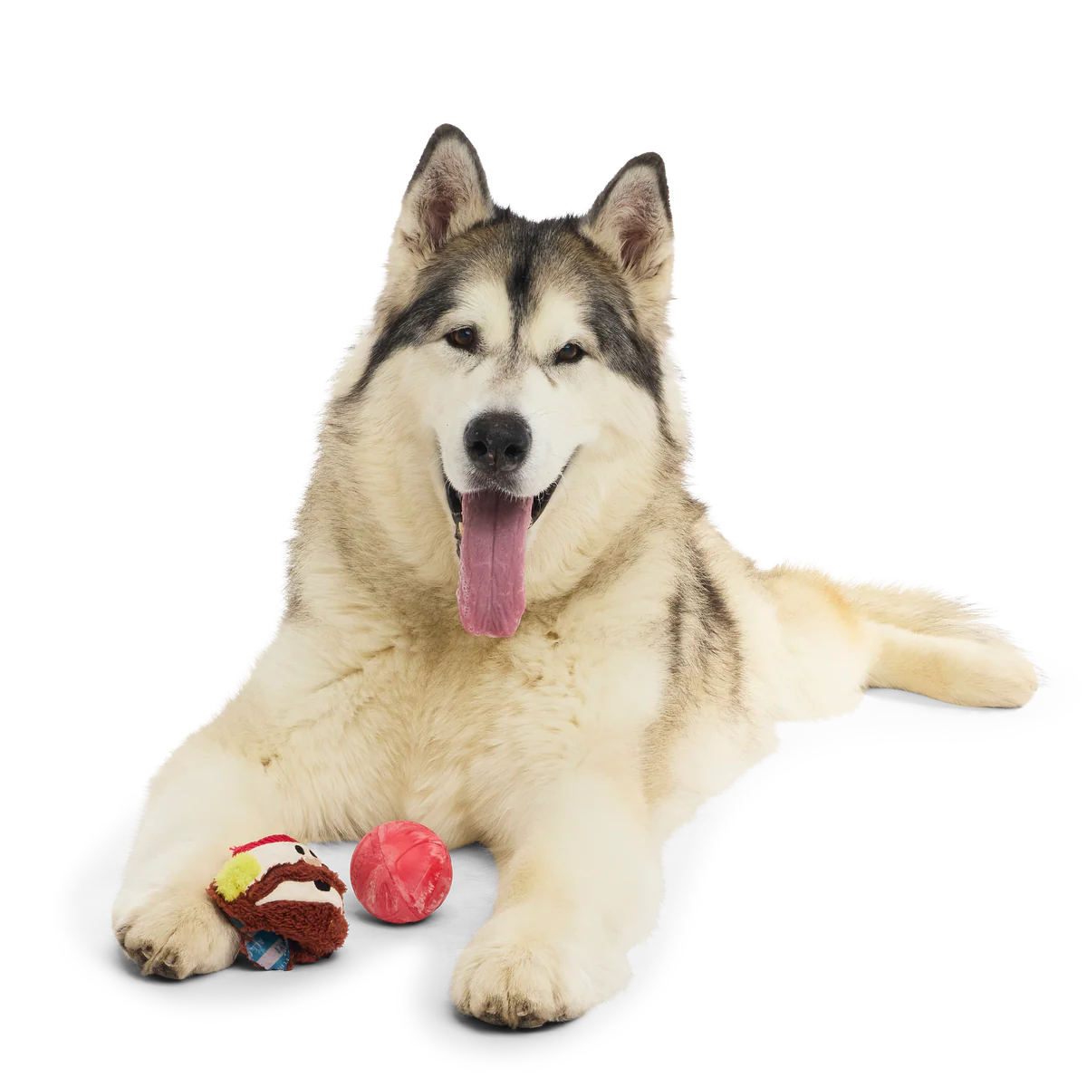 Rudolph® Holiday Super Chewer Gift Box - Image 18