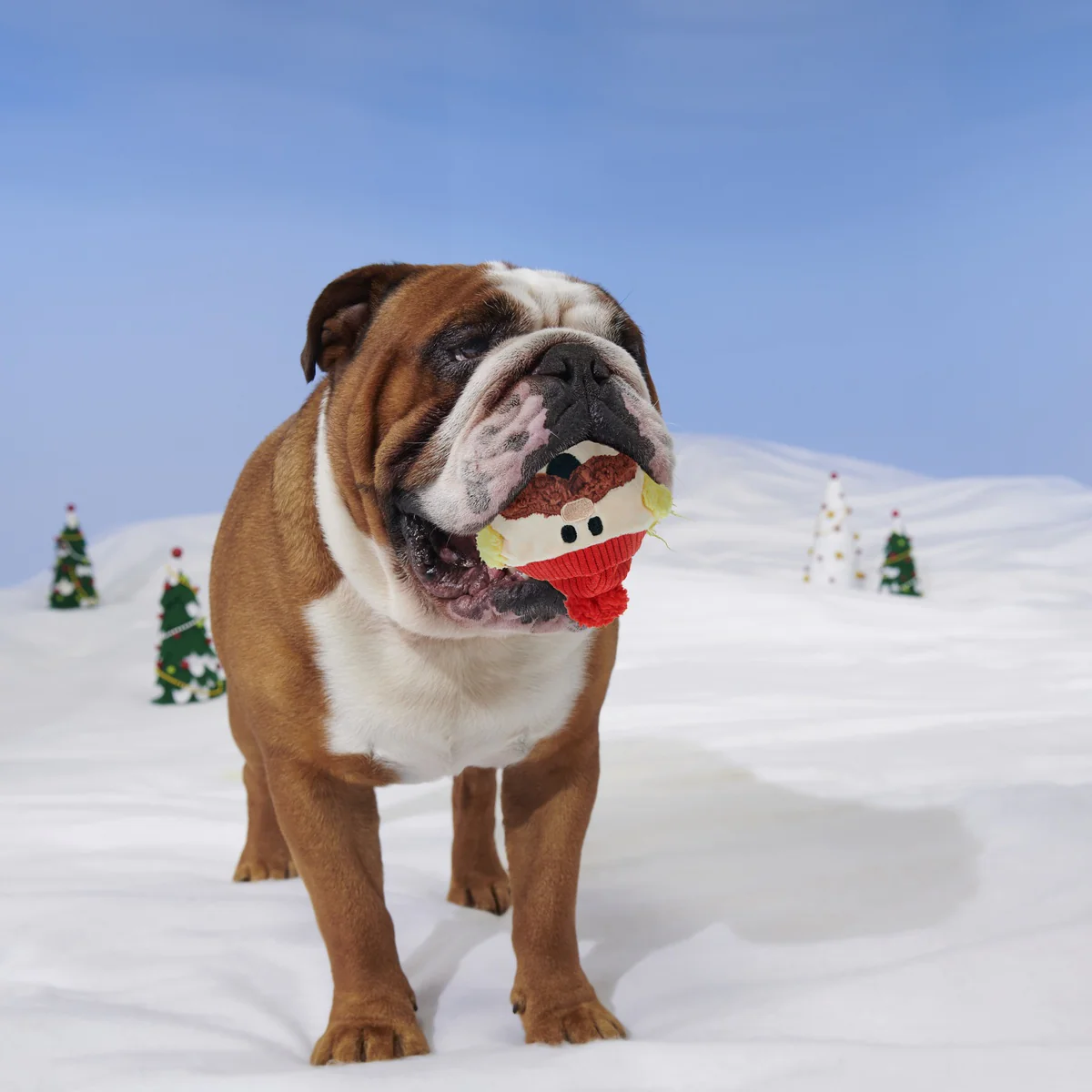 Rudolph® Holiday Super Chewer Gift Box - Image 20