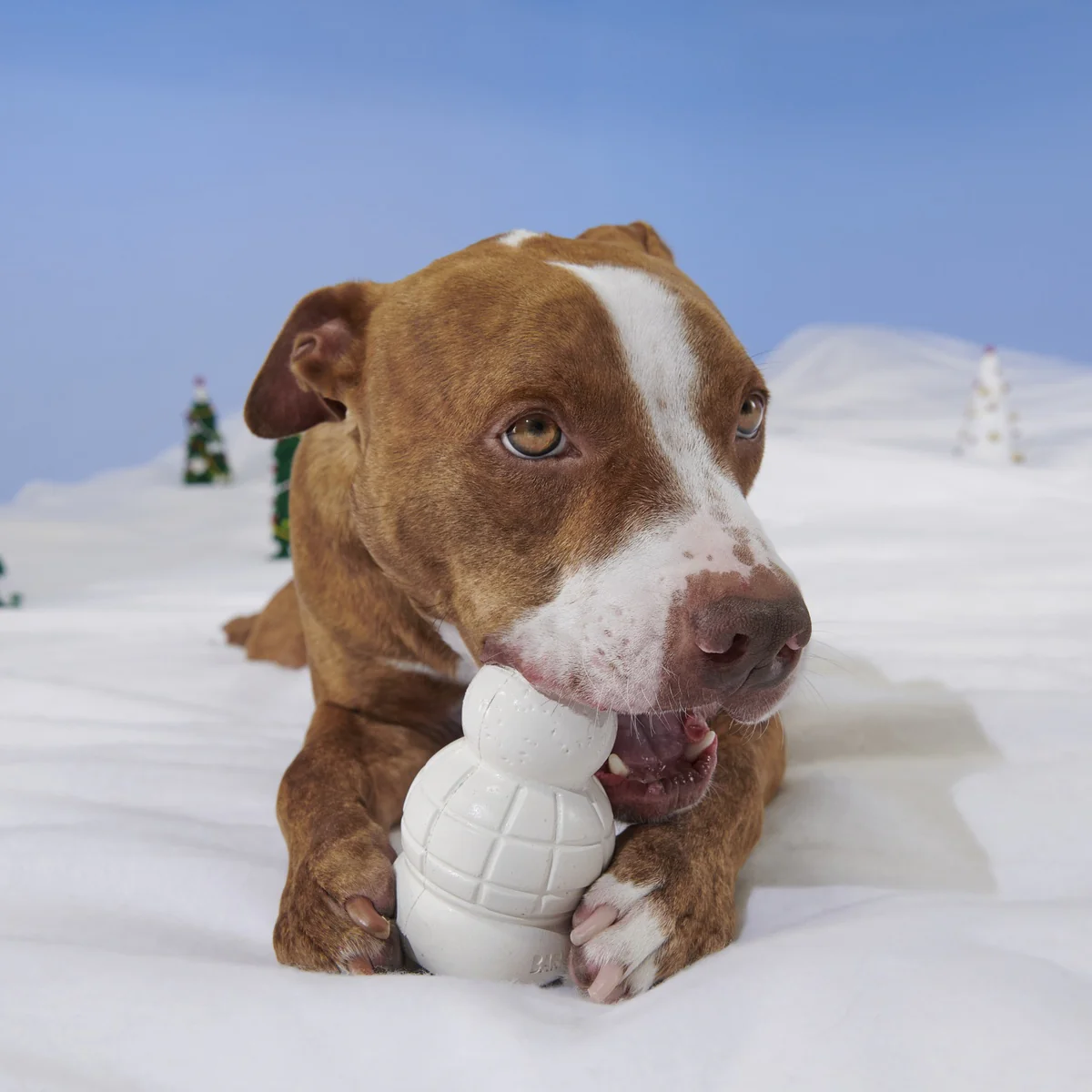 Rudolph® Holiday Super Chewer Gift Box - Image 22