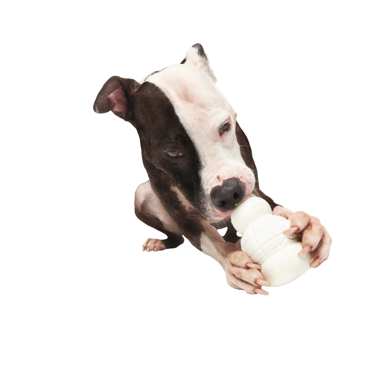 Rudolph® Holiday Super Chewer Gift Box - Image 23