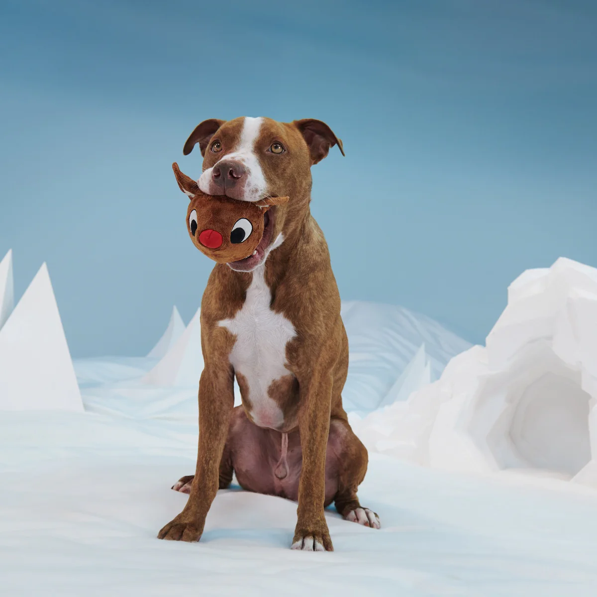 Rudolph® Holiday Super Chewer Gift Box - Image 6