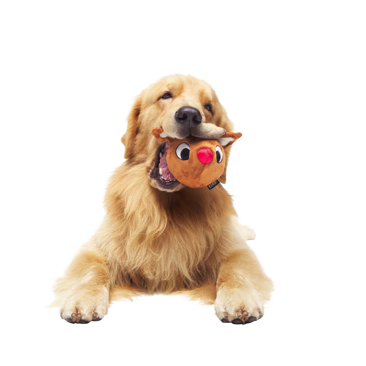 Rudolph® Holiday Super Chewer Gift Box - Image 7