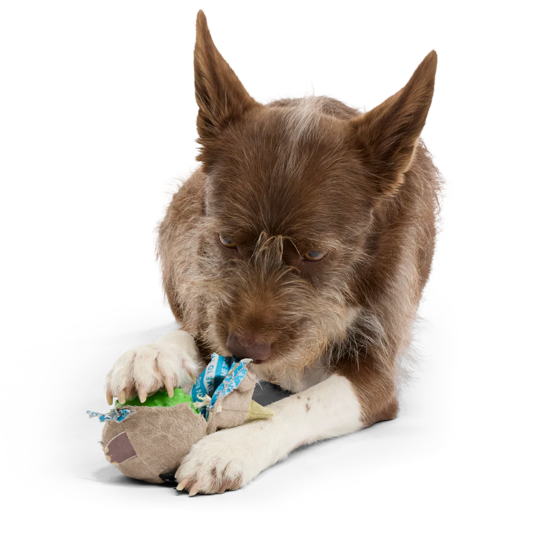 Ryan Ocerus Durable Super Chewer 2-in-1 Rip and Reveal + Fetch Dog Toy - Image 5