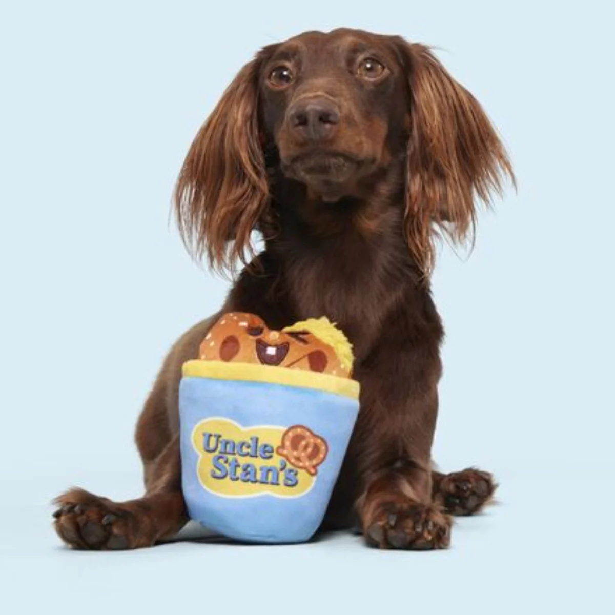 Salty Stan Plush Multi-Part Dog Toy - Image 3