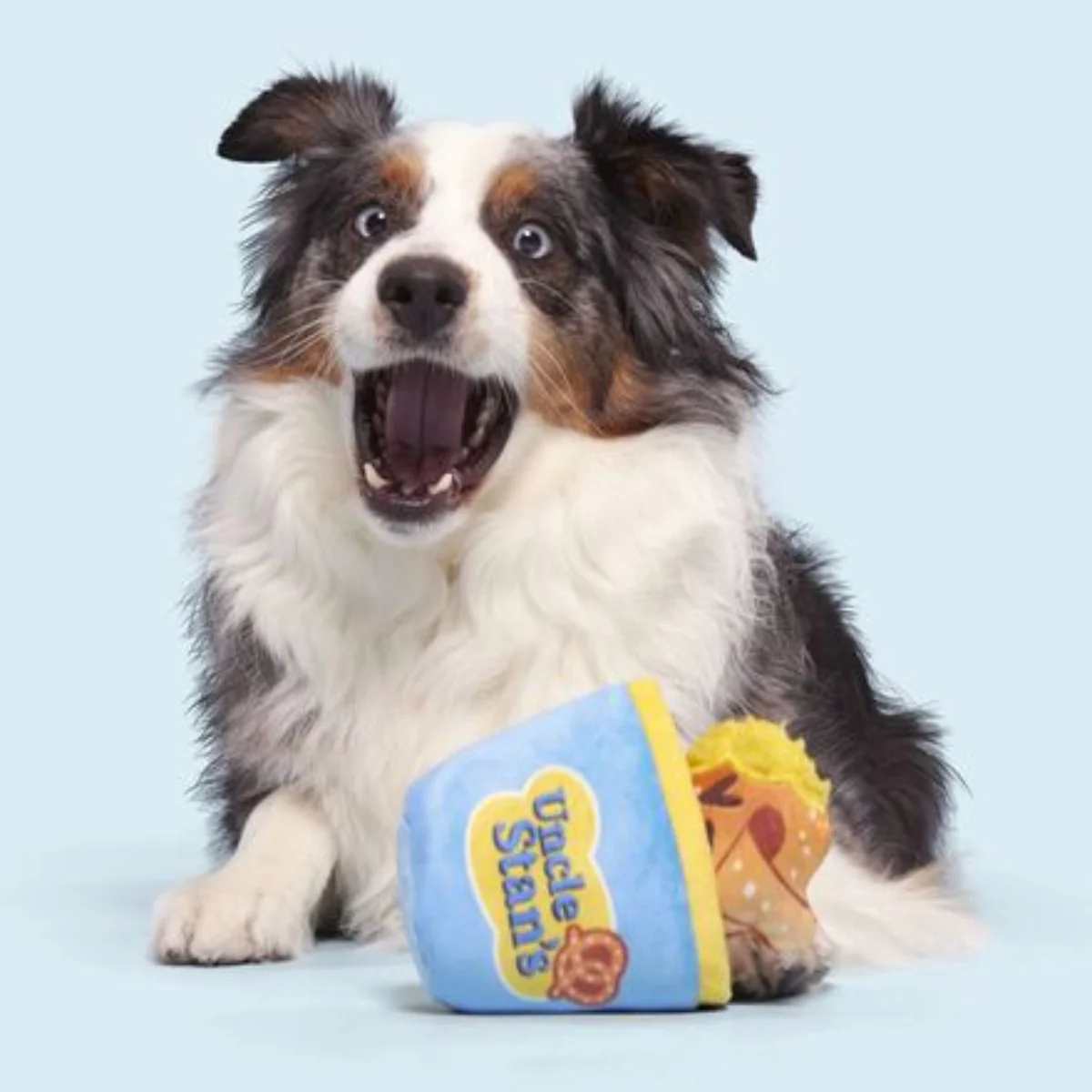 Salty Stan Plush Multi-Part Dog Toy - Image 4