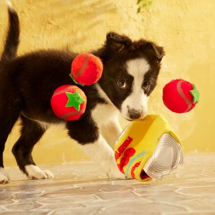San Muttzano Tomatoes Plush + Squeaky Tennis Balls + Enrichment + Multi-Part Dog Toy - Image 5
