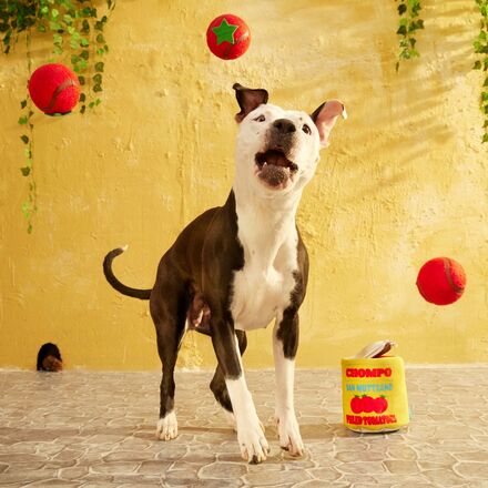 San Muttzano Tomatoes Plush + Squeaky Tennis Balls + Enrichment + Multi-Part Dog Toy - Image 6