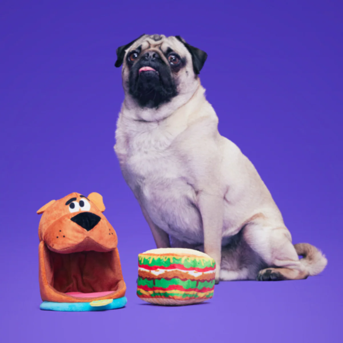 Snackin' Scooby™ - Image 6