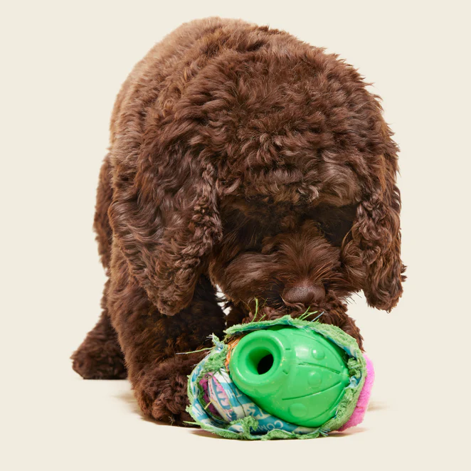 Snactus Super Chewer Durable 2-in-1 + Enrichment Dog Toy - Image 3
