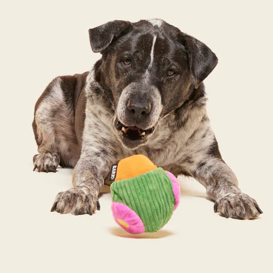 Snactus Super Chewer Durable 2-in-1 + Enrichment Dog Toy - Image 4