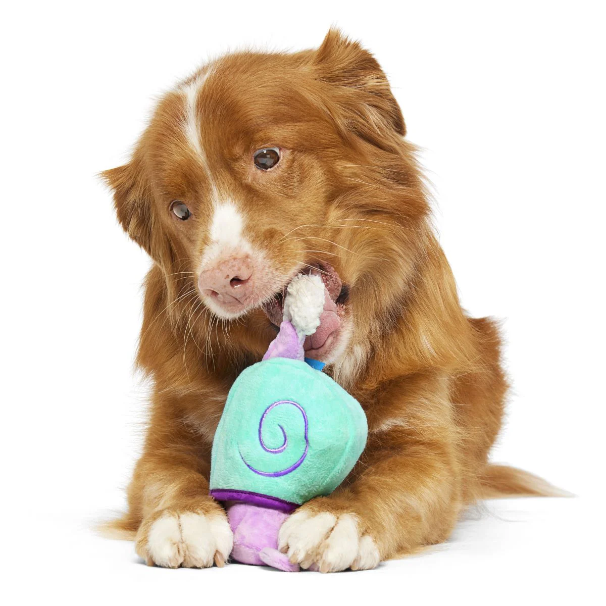 Snobert the Snabbit Plush Multi-Part Dog Toy - Image 3